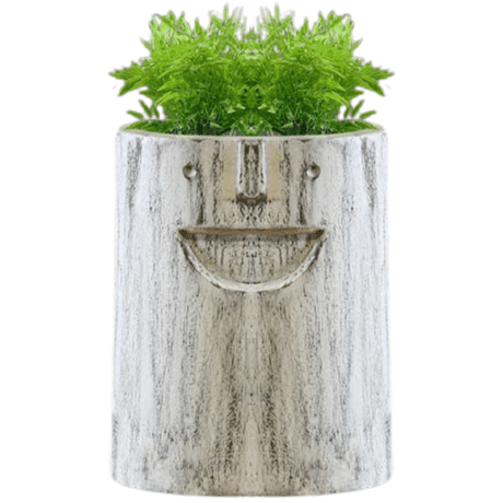 Cylindrical Planters B